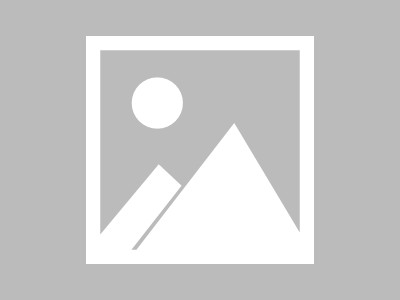 上海信息化商务咨询，不二之选